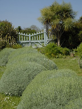 jardinlabizerie-regionbasse-normandie-vignette-copie2