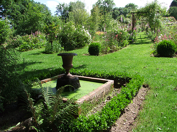 la_rose_des_prairies_-_region_auvergne_-_photo_ndeg3