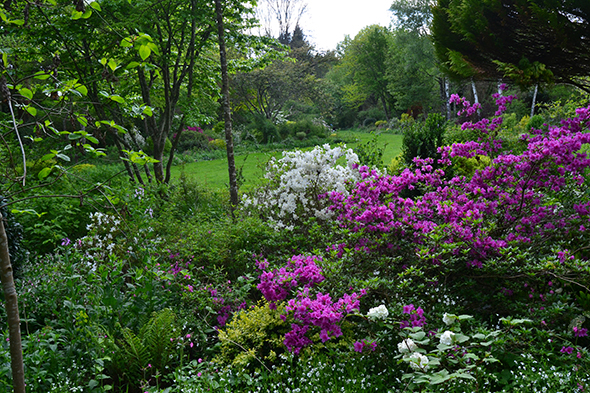 le_jardin_de_liliane_-_region_limousin_-_photo_ndeg1