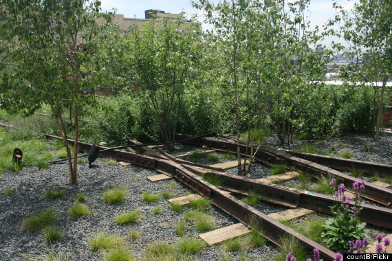 o-HIGH-LINE-NEW-YORK-570