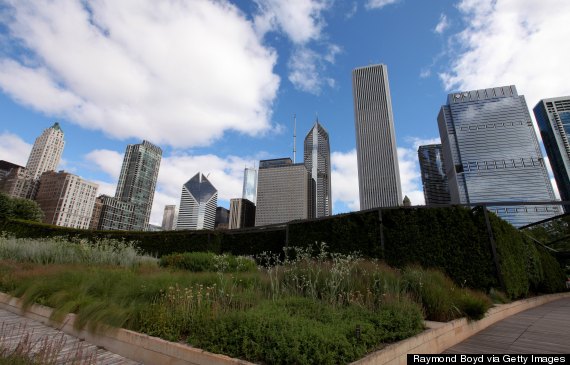 Chicago Cityscapes And City Views