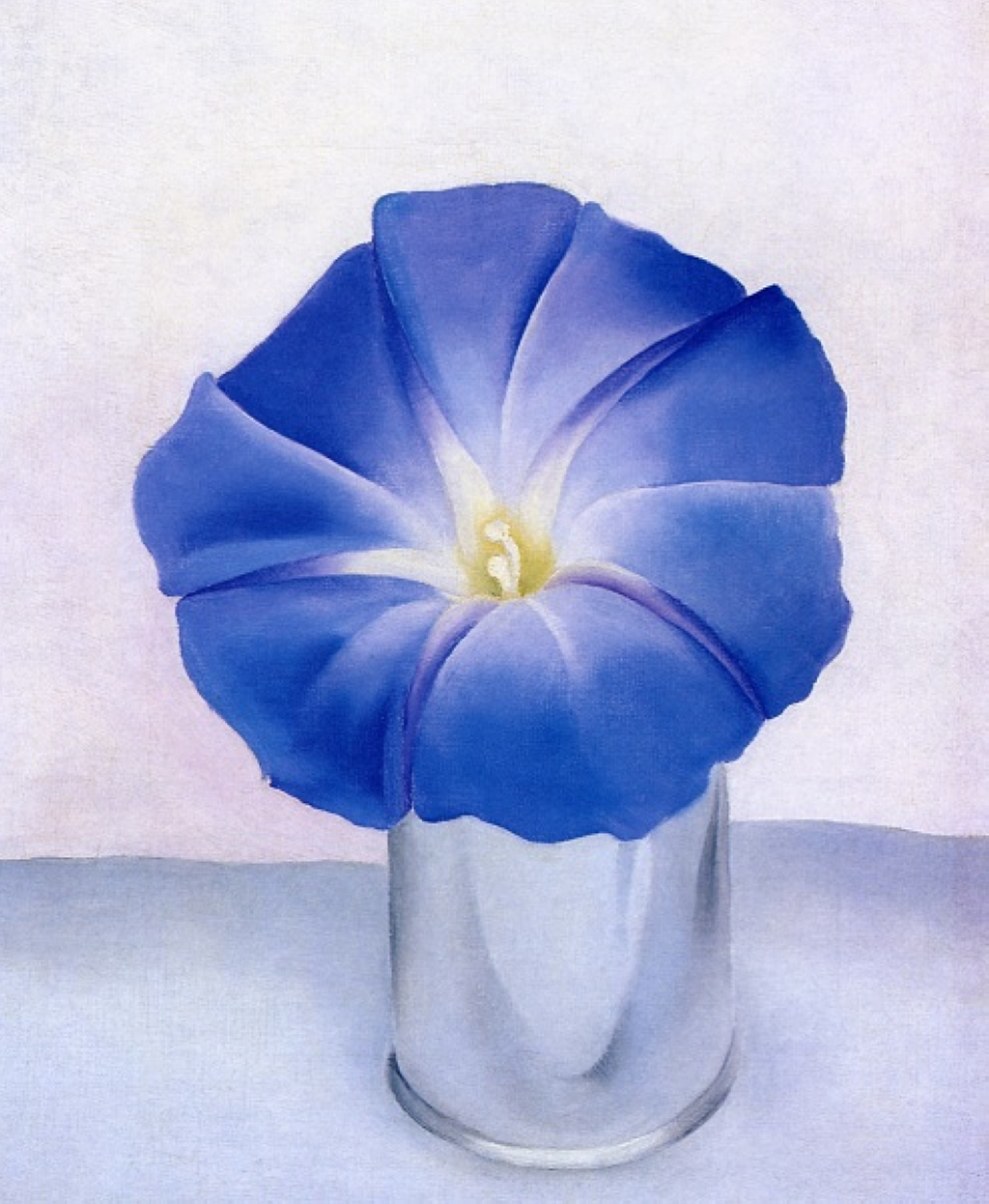 blue-morning-glory