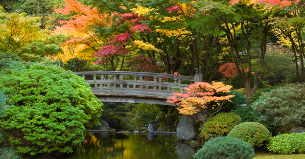 strolling_pond_11