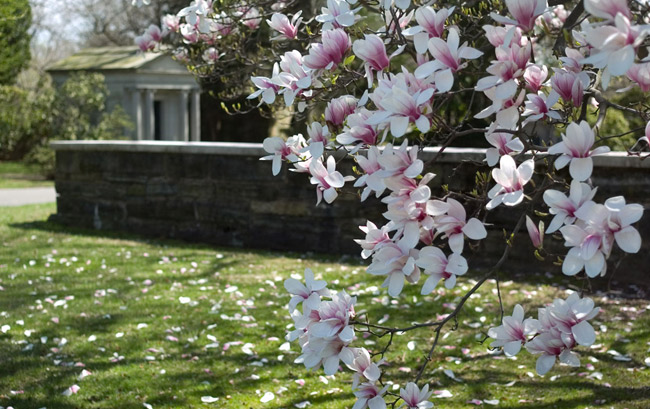 10-Woodlawn-Cemetery_650