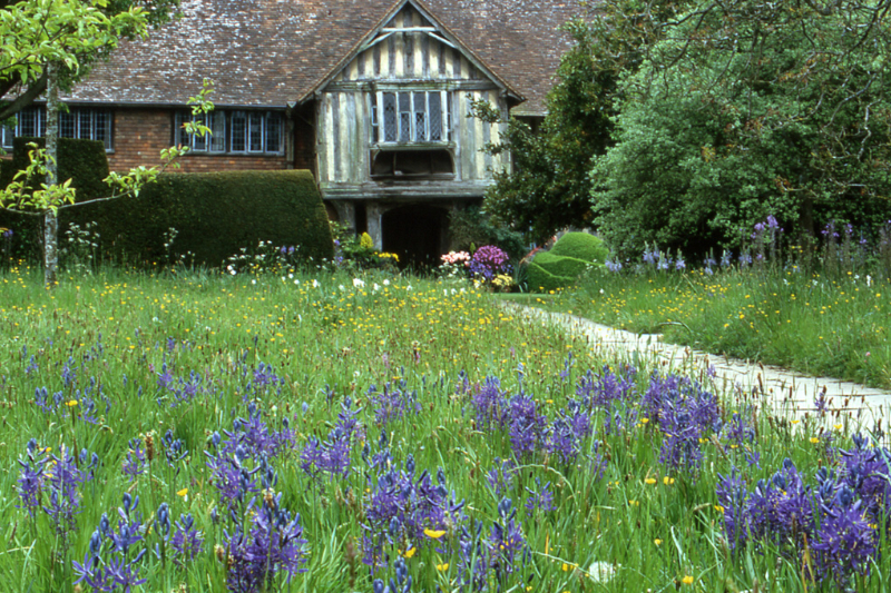 dixter