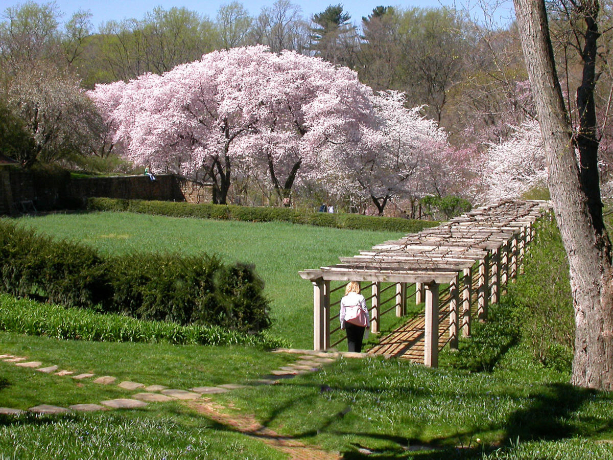 dumbarton_oaks