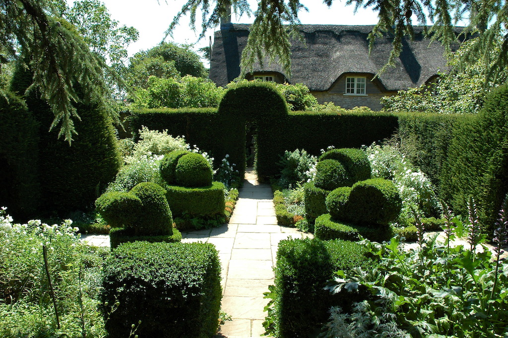 hidcote1