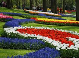 keukenhof