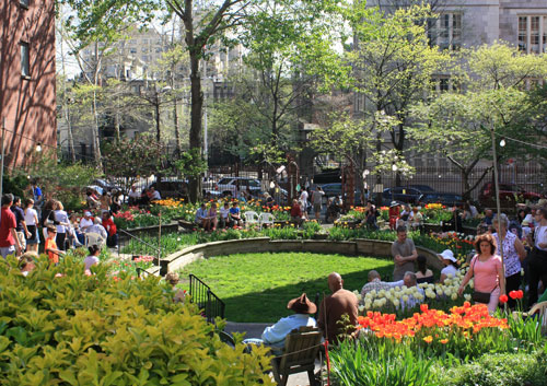 westside-community-gardens-tulip-festival