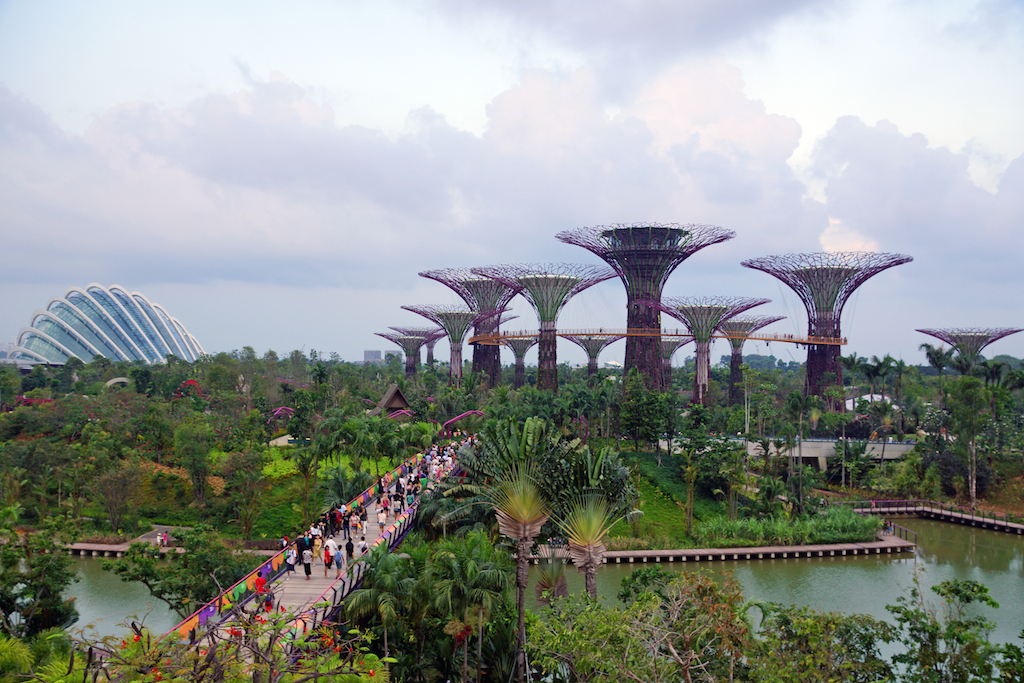 Dragonfly_Bridge,_Gardens_by_the_Bay,_Singapore_-_20120617 copy