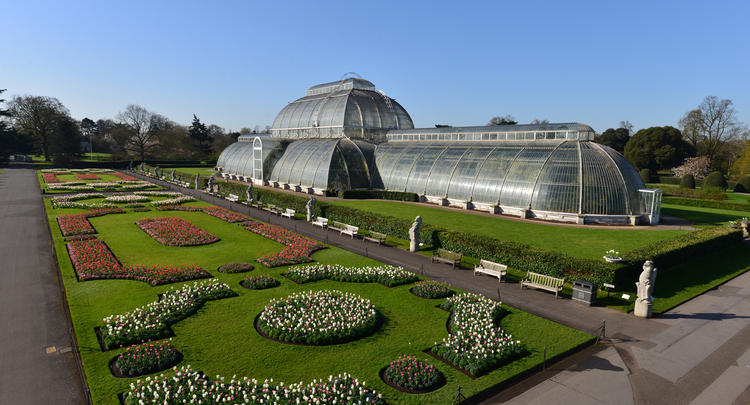 JE_KEW_7590web palm house