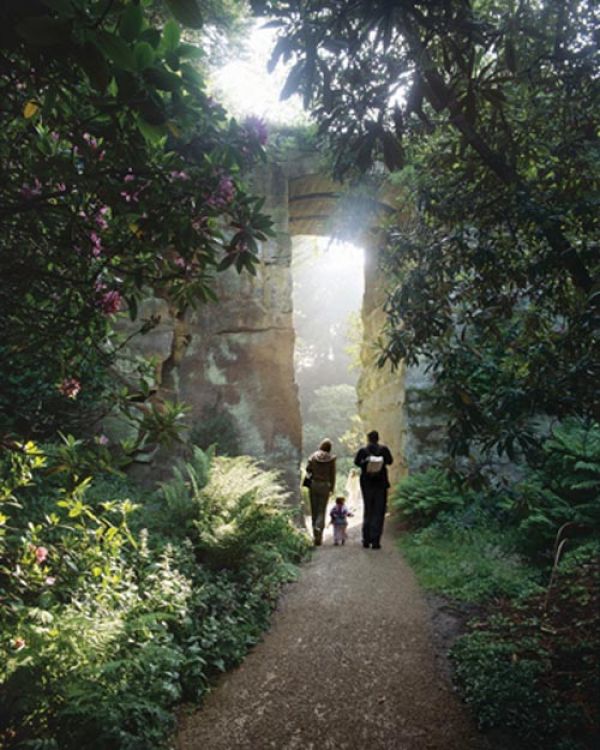 Quarry-Garden-at-Belsay