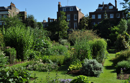 chelsea_physic_garden_london_cnick_bailey_264x168_0