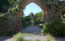 tresco_abbey_garden_isles_of_scilly_4_264x168