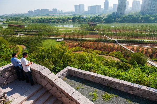 Quzhou-Luming-Park8