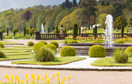 the_trentham_estate_staffordshire_-_tulips_may_cjoe_wainwrigh_264x168_