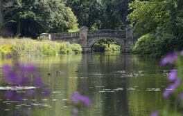 weston_park_staffordshire_paines_bridge_c_visitengland_264x168