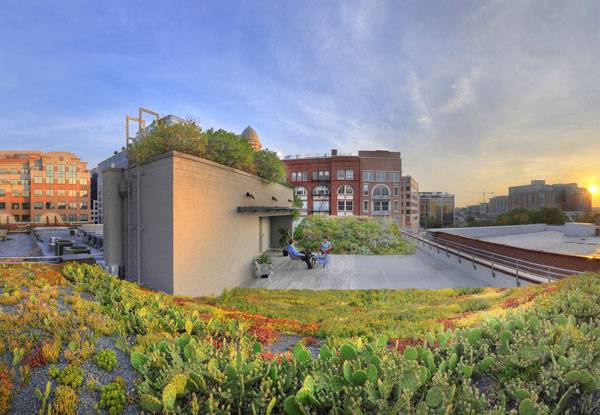 ASLA-Green-Roof-8-Conservation-Desgin-Forum7