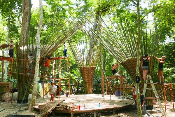 Bamboo-Trees-in-construction
