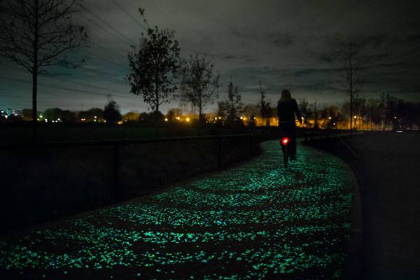 Bicyle-path5