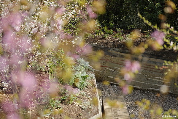 FESTIVAL DES JARDINS 2016- PHOTO: ERIC SANDER POUR LE DOMAINE DE CHAUMONT/LOIRE