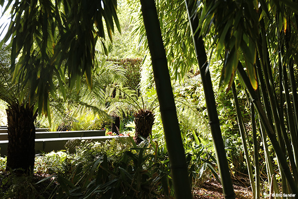 FESTIVAL DES JARDINS 2016- PHOTO: ERIC SANDER POUR LE DOMAINE DE CHAUMONT/LOIRE