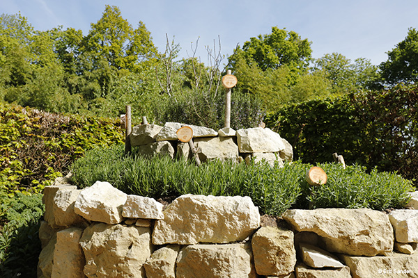 FESTIVAL DES JARDINS 2016- PHOTO: ERIC SANDER POUR LE DOMAINE DE CHAUMONT/LOIRE