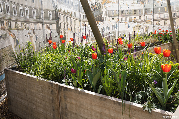 FESTIVAL DES JARDINS 2016- PHOTO: ERIC SANDER POUR LE DOMAINE DE CHAUMONT/LOIRE