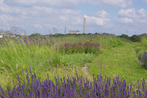 WLA18-Willem-Alexander-Park-DS-image-8-565x377