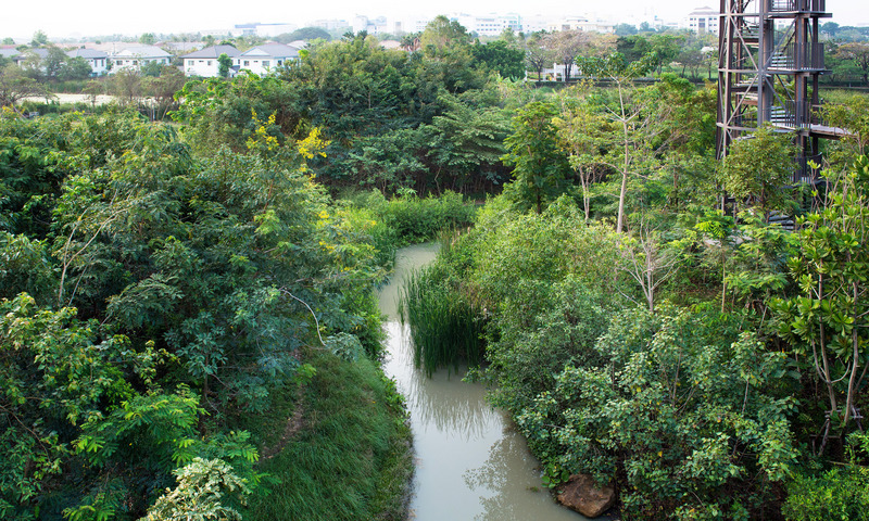 bangkok9