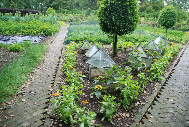 ballymaloe-potager-garden-5