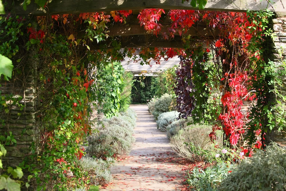 hestercombe-weddings-the-pergola-by-photodabek-30