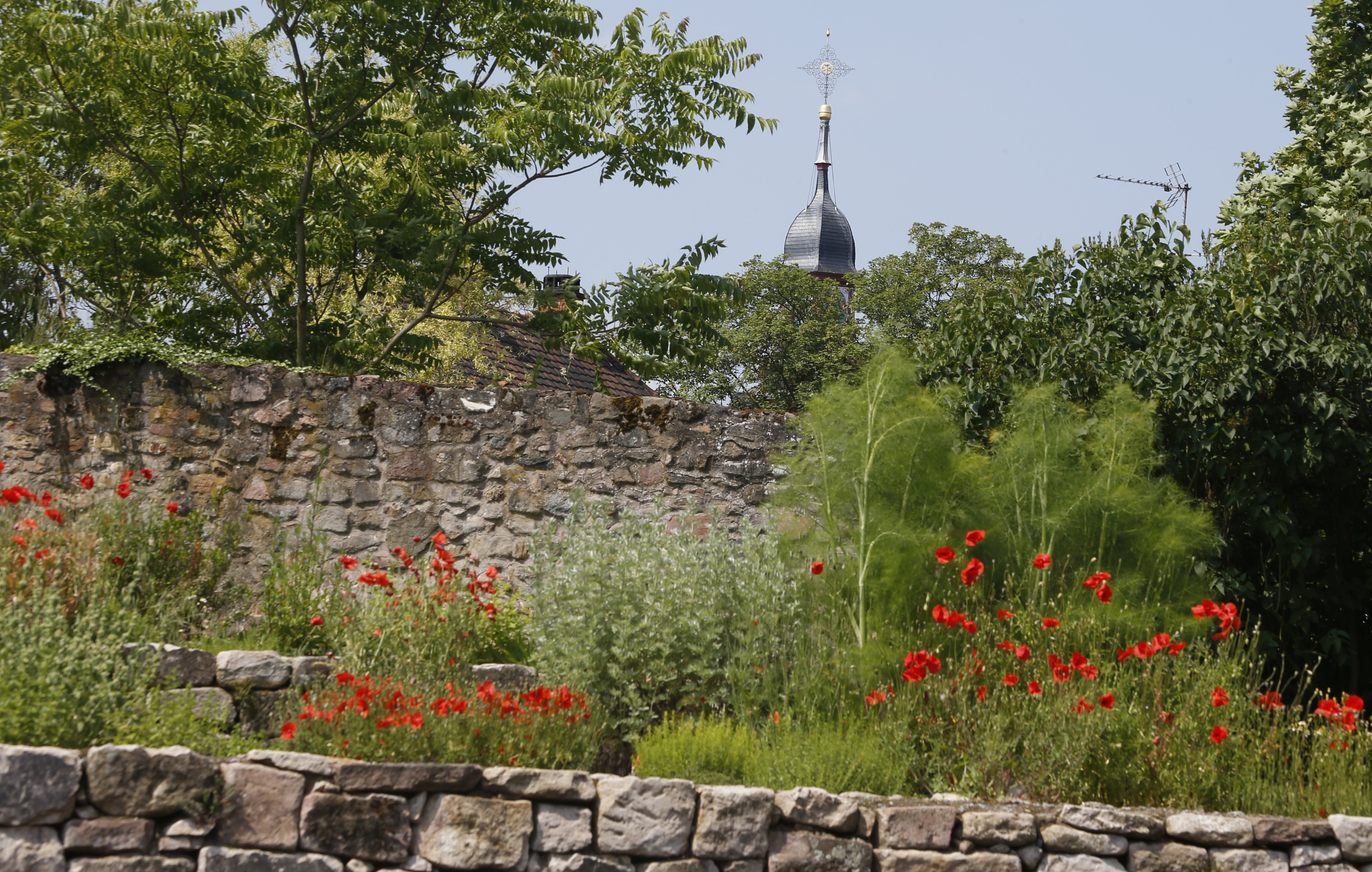 wakl-klosterlorsch_121-heil-und-medizinalgarten-des-klosters_c-ludwigmaerz_dl