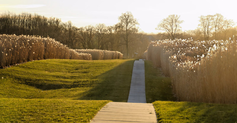 schloss-contemporary-gardens