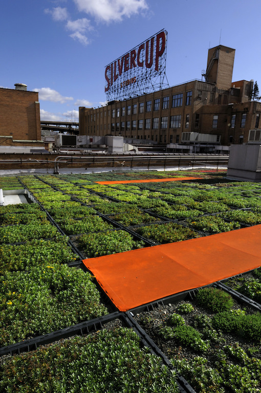 Silvercup Studios Green roof  Balmori and Associates