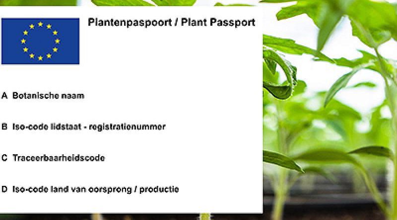 plant passport