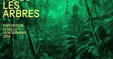 expositio Nous les arbres Fondation Cartier Paris 2019