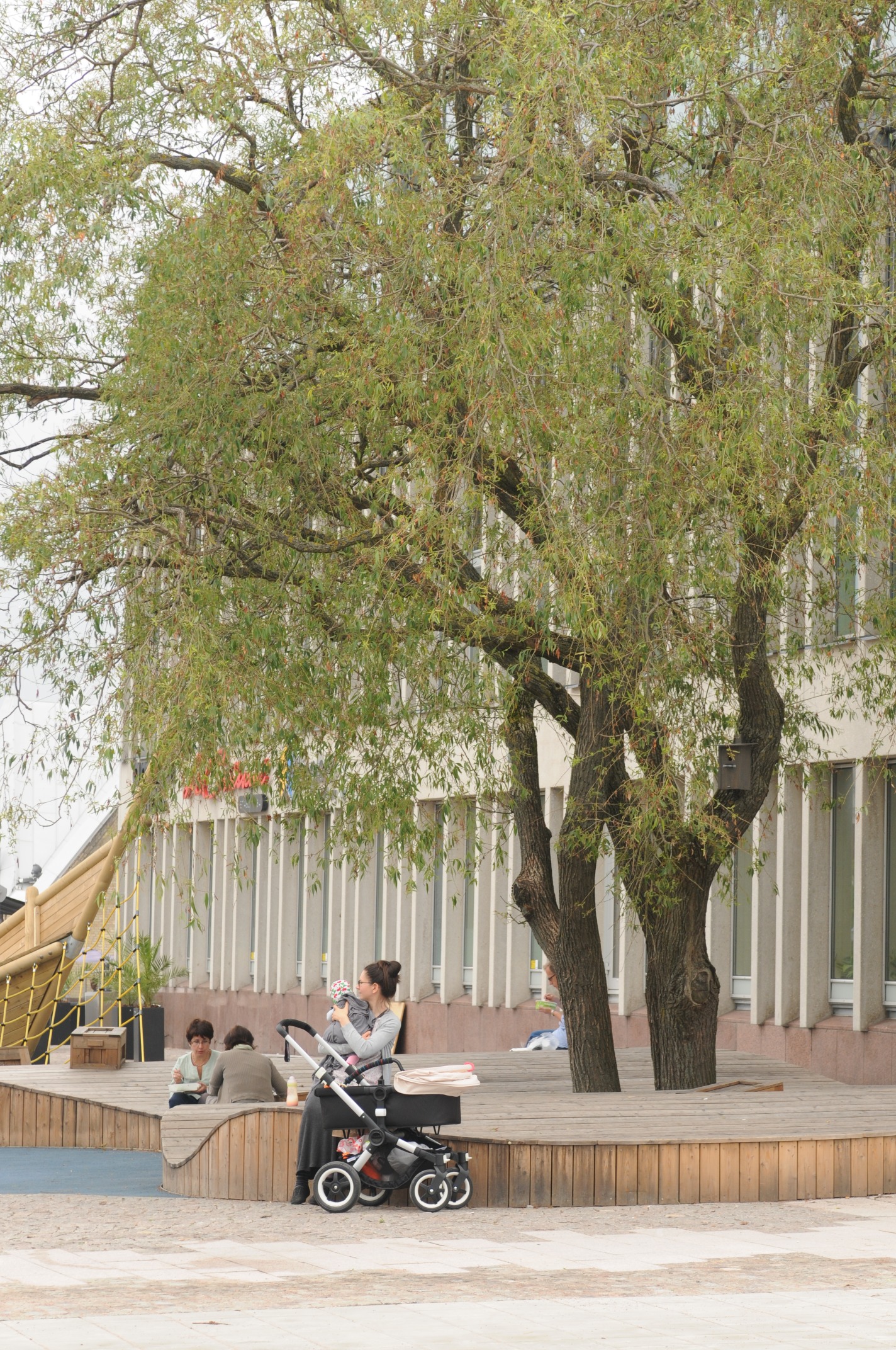 Klimaat openbaar groen CG Concept Jaarboek 2020 toekomst klimaattuin Marc Verachtert Zakboek voor de Klimaatboek handleiding gids klimaatvriendelijke tuin tips bomen klimaatboom bloemen boomsoorten