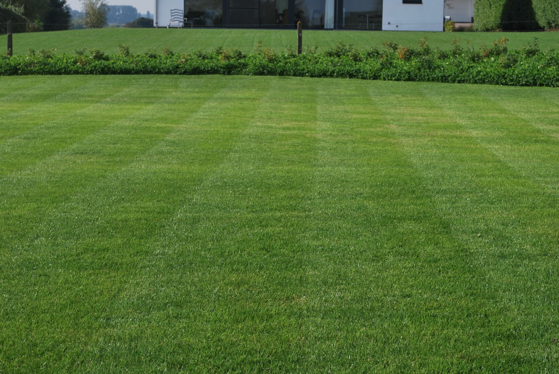 Advanta gras gazon klimaatresistent duurzaamheid klimaatoplossing klimaatopwarming tuinen tuinspecialist graszaad sportvelden bermen pleinen expert tuinprofessional veldbloemen CG Concept Jaarboek 2020