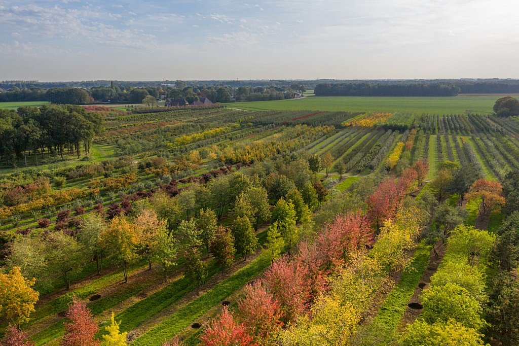 Boomkwekerij Ebben TreeEbb bomen klimaat duurzaamheid klimaatbestendig bomenencyclopedie tuin tuinprofessionalCG Concept Jaarboek 2020