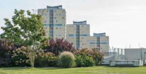 Groendak groengevel CG Concept Jaarboek 2020 verkoeling daken gevels gevelgroen dakgroen architecten stenbuwkundigen projectontwikkelaars gemeenten groenaanleg groene ruimtes groensector stad verkoeling Joop Spijker klimaat