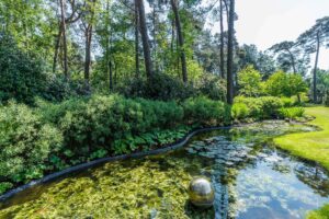 Bart De Backer CG Concept BaLu LOBU Jaarboek 2020 symbiose planten bodemleven landschapsarchitect beplanting toekomst microfauna macrofaune tuinaannemers droogte hitte klimaat klimaatopwarming klimaatverandering