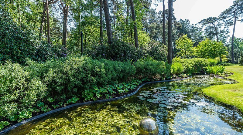 Bart De Backer CG Concept BaLu LOBU Jaarboek 2020 symbiose planten bodemleven landschapsarchitect beplanting toekomst microfauna macrofaune tuinaannemers droogte hitte klimaat klimaatopwarming klimaatverandering