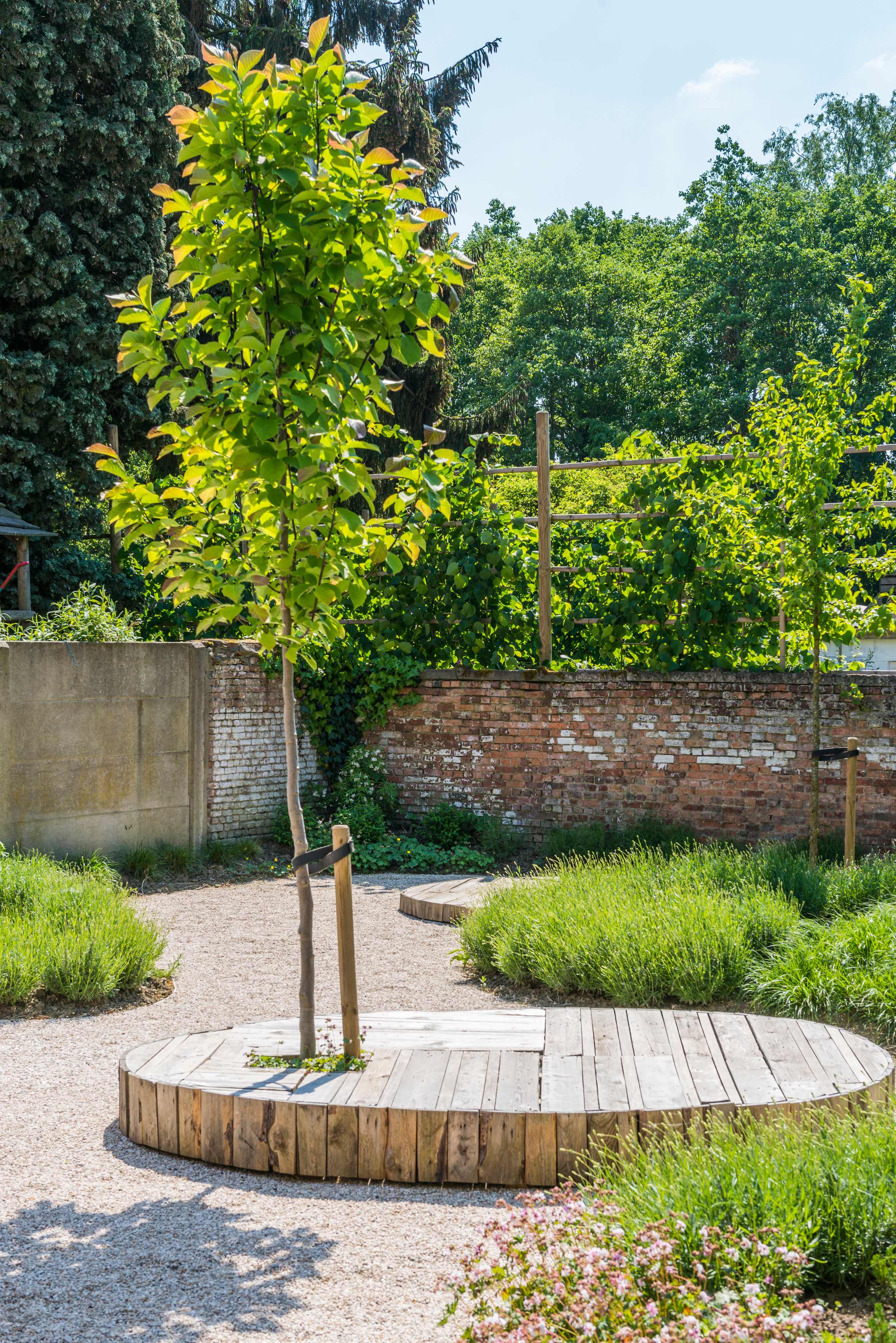 Bart De Backer CG Concept BaLu LOBU Jaarboek 2020 symbiose planten bodemleven landschapsarchitect beplanting toekomst microfauna macrofaune tuinaannemers droogte hitte klimaat klimaatopwarming klimaatverandering