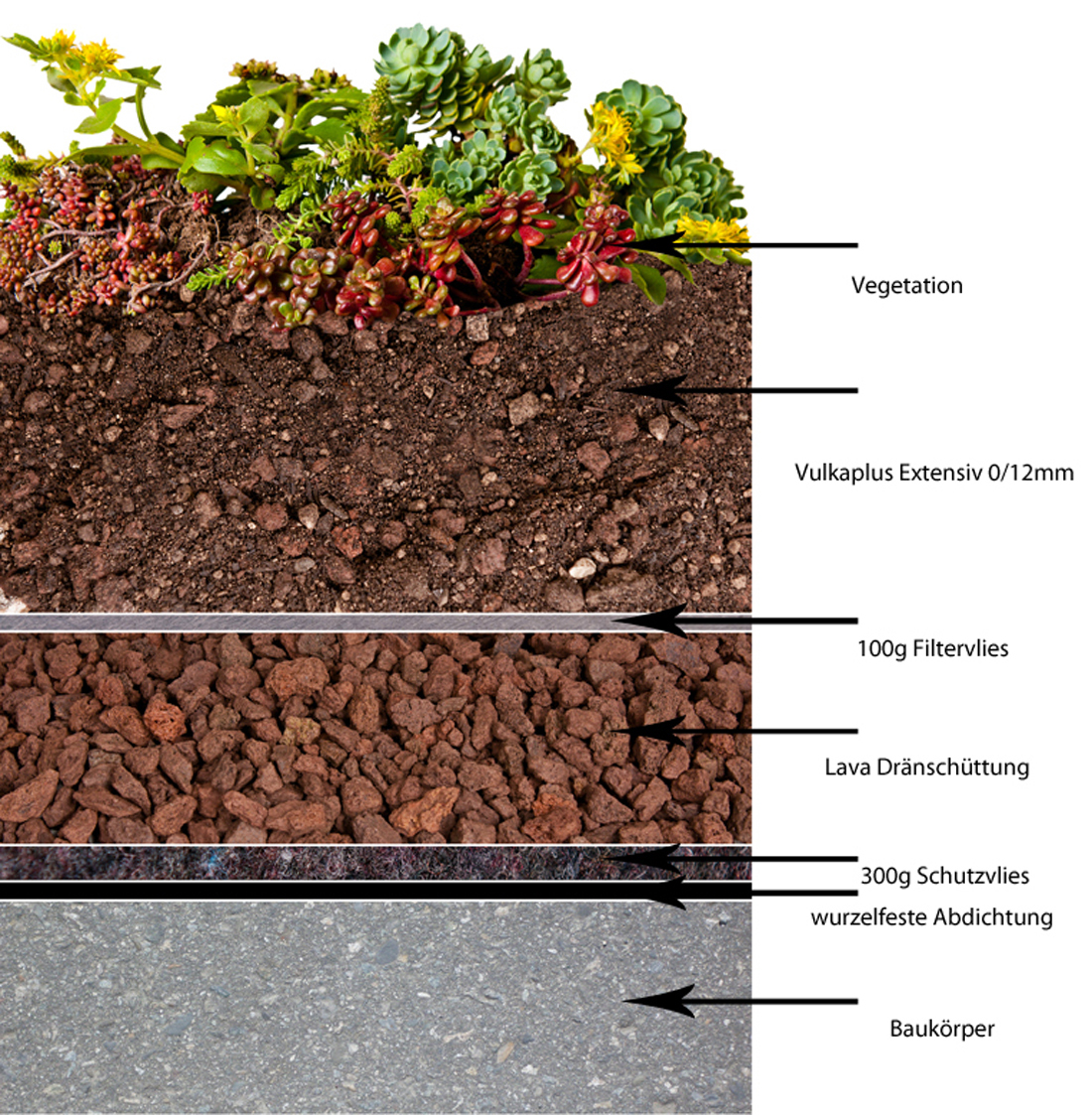 toekomst groen groendak dakgroen stadstuin urban farming vegetatie klimaat tuinen water biodiversiteit regenwaterafvoer Retentiedak Daktuin CG Concept Jaarboek 2020