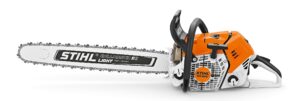 Agribex Gouden Buxus Stihl Groenvoorziening