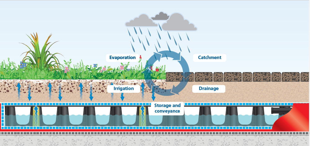 toekomst groen groendak dakgroen stadstuin urban farming vegetatie klimaat tuinen water biodiversiteit regenwaterafvoer Retentiedak Daktuin CG Concept Jaarboek 2020