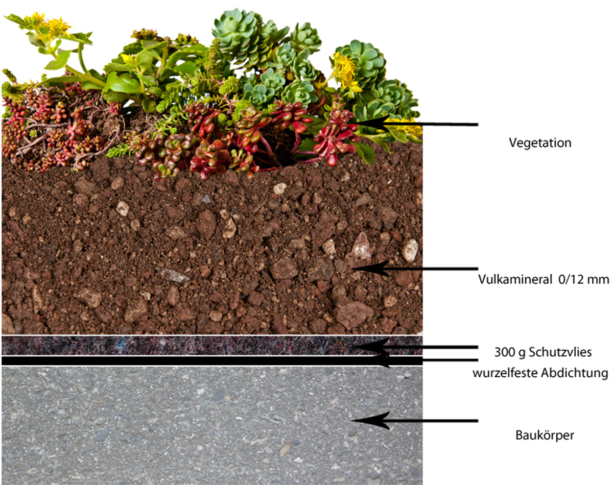 toekomst groen groendak dakgroen stadstuin urban farming vegetatie klimaat tuinen water biodiversiteit regenwaterafvoer Retentiedak Daktuin CG Concept Jaarboek 2020