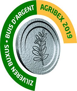 Agribex Zilveren Buxus Eliet