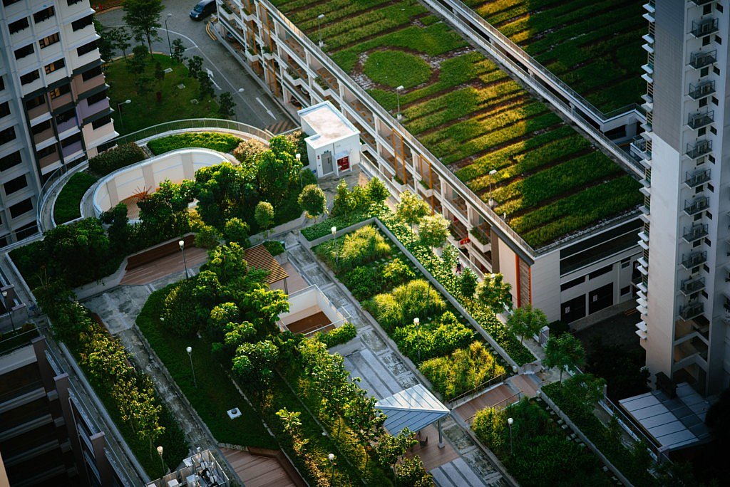 Openbaar groen luchtkwaliteit CG Concept Jaarboek 2020 planten luchtzuivering Green-Air organische stoffen gassen fijn stof licht wind luchtvervuiling bladvorm verstedelijking bomen heggen groene daken groene wanden luchtverontreinigende stoffen gezondheid ecosysteem stad groenelementen Technopol Sierteelt UAntwerpen Vlaamse Milieumaatschappij